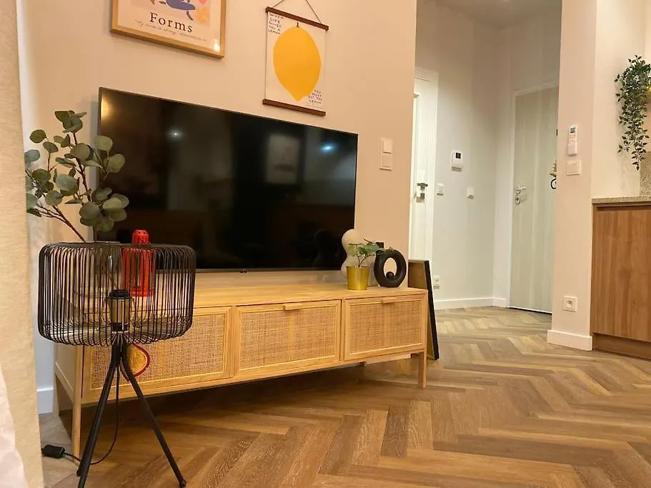 Art & Pleasure Waw Z Bezplatnym Parkingiem Apartment Warsaw Poland